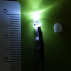 QT5433W-12V(LED)